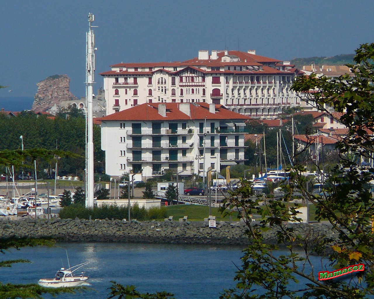 bellevue1.jpg