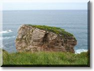 les-jumeaux-5.jpg
