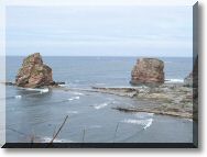 les-jumeaux-9.jpg