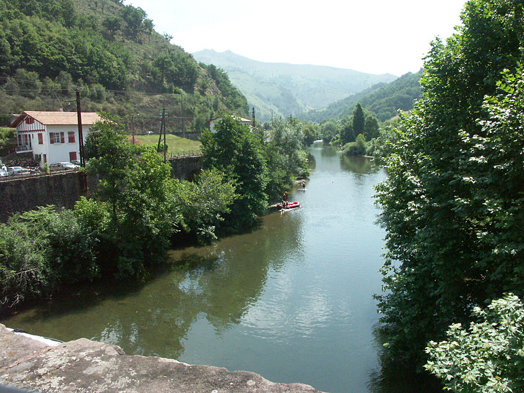 valnive9.jpg