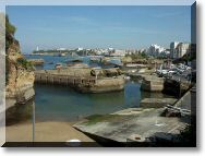 port1.jpg