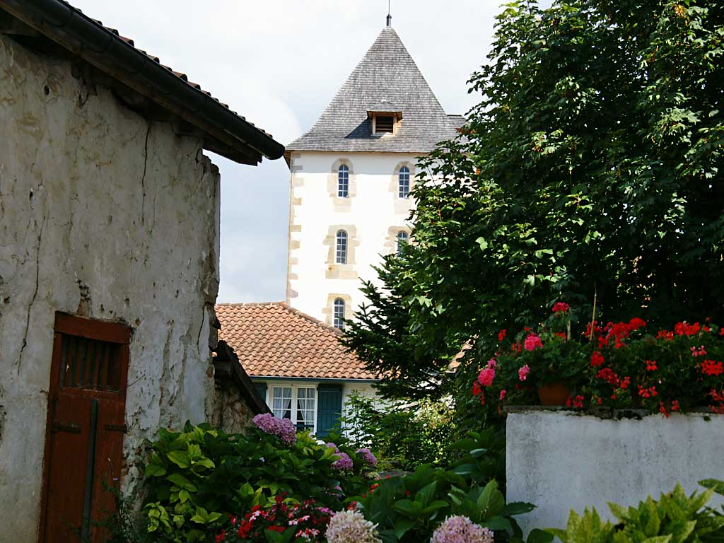 sarecentre1.jpg