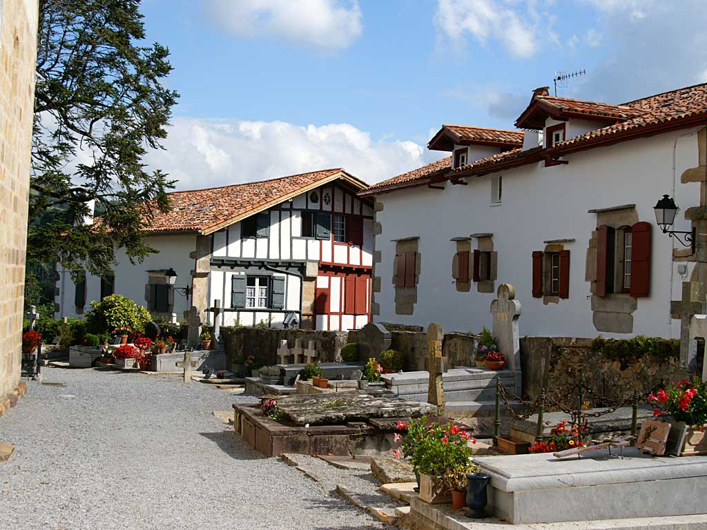 sarecentre9.jpg