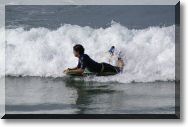 surf10.jpg