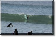 surf13.jpg