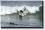 surf8.jpg