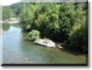 valnive2.jpg