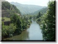 valnive6.jpg